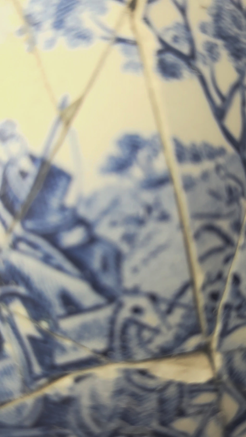 Bull in a China shop