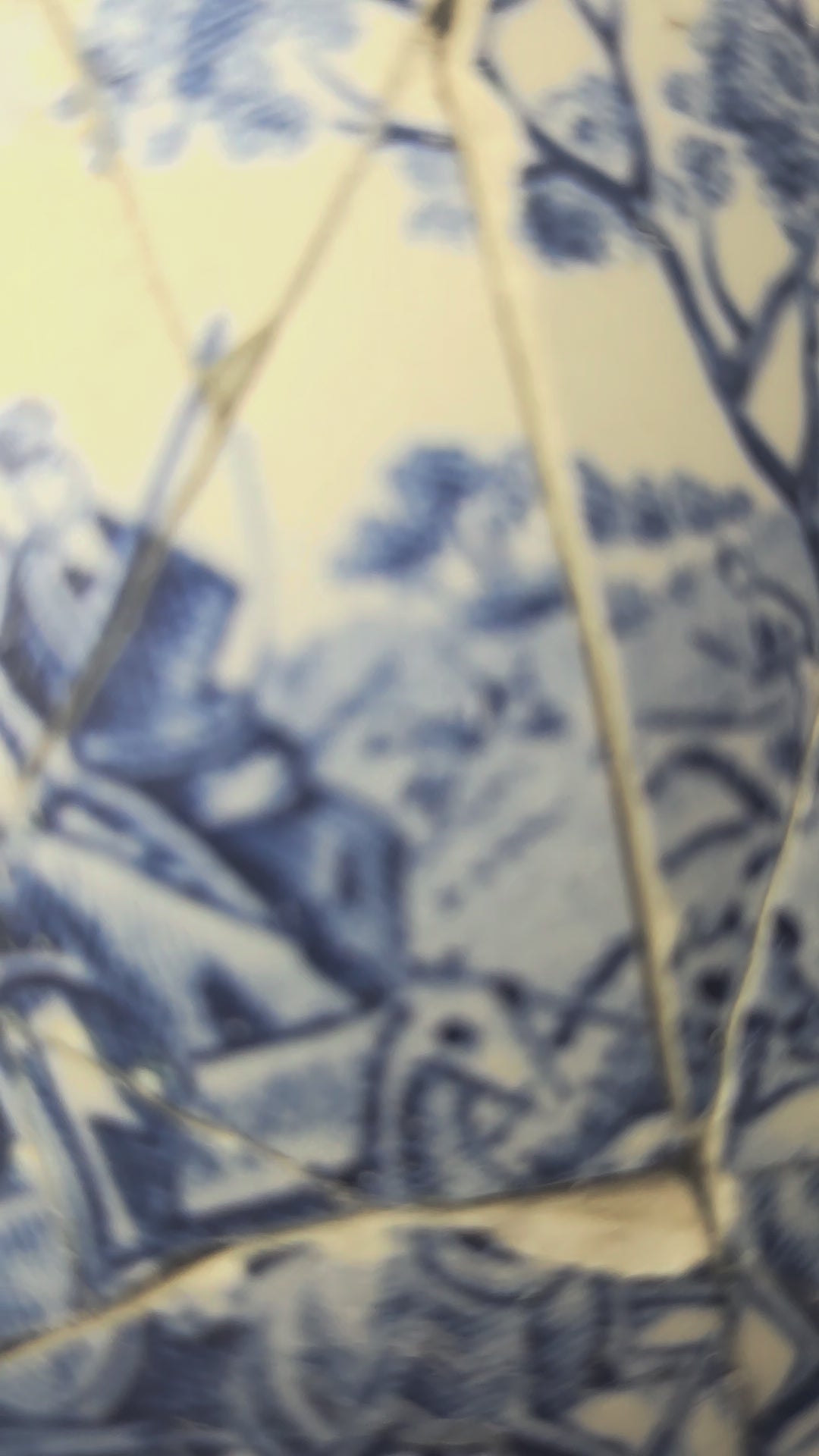Bull in a China shop
